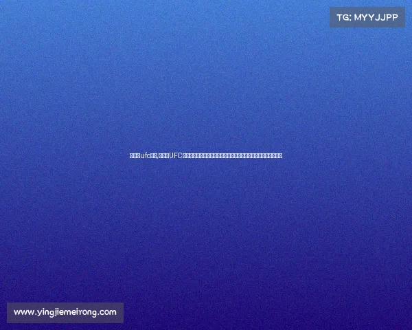 武林风ufc赛事,武林风UFC国际综合格斗冠军赛盛大开启传承中华武术精髓融合现代竞技精神